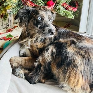 Meet your Posher, Savannah